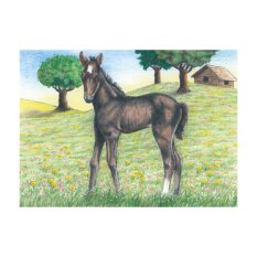 Goki Holzbausteine Bauernhoftiere 9 Stk.