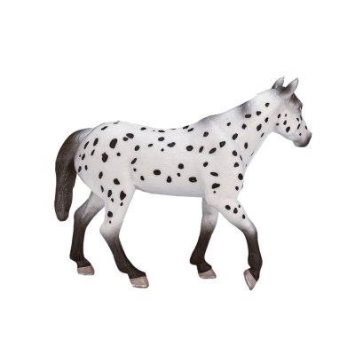 Mojo Appaloosa armăsar
