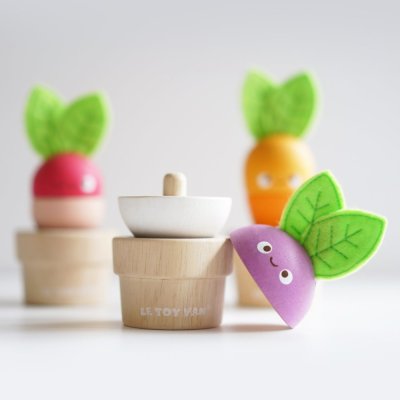 Le Toy Van Gemüsegarten-Set