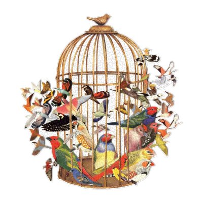 Galison Puzzle Vogelkäfig 750 Teile