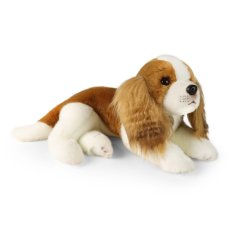 Rappa Pluszowy pies Cavalier King Charles Spaniel 40 cm ECO-FRIENDLY