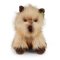Rappa Plüss cairn terrier kutya 30 cm ECO-FRIENDLY