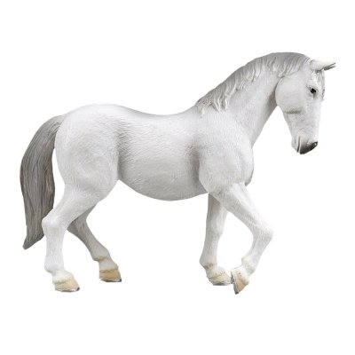 Yegua Lipizzaner Mojo