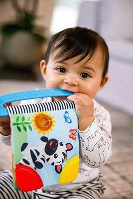BABY EINSTEIN Grizalo/knjiga Curious Explorers™0m+