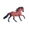 Mojo Caballo Lusitano marrón