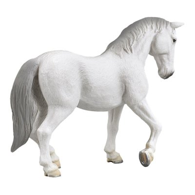 Yegua Lipizzaner Mojo