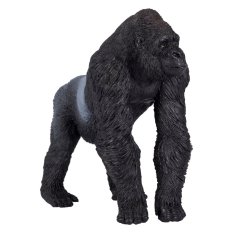 Mojo Gorila macho de costas prateadas
