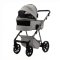 ADAMEX Kombikinderwagen Delta Natura Moon