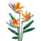 Sluban Flowers M38-B1121C Kraljeva Strelitzia