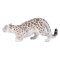 Mojo Snöleopard