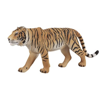 Mojo Tygrys bengalski