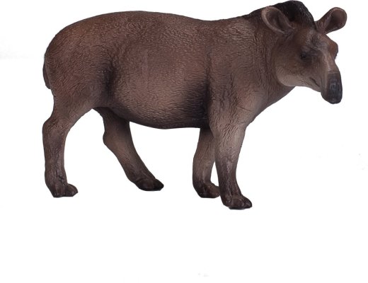 Mojo Južnoamerički tapir