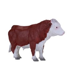 Taureau Hereford Mojo
