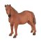 Yegua Suffolk Punch de Mojo