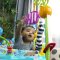 BABY EINSTEIN Hüpfburg/Aktivitätszentrum 2-in-1 Curiosity Cove™ 6m+ bis 11kg