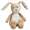 Rainbow Devine combien je t'aime ! Lapin