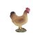 Mojo Gallina in piedi