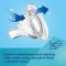 CANPOL BABIES Anti-Kolik-Flasche mit leuchtenden Griffen EasyStart Sleepy Koala 240 ml blau