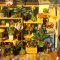 Puzzle 3D en bois RoboTime Miniature de maison Serre de fleurs