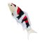 Mojo Carpa koi showa sanshoku