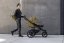 Passeggino THULE Urban Glide 3 Nutria/Mid Blue set L