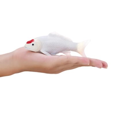 Mojo Kapor koi tancho