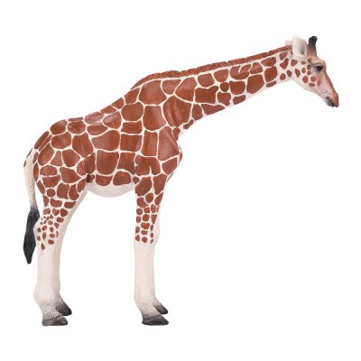 Mojo Giraffa femmina