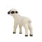 Mojo Hampshire Lamm stehend