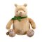 Rainbow Plush Winnie the Pooh with Green Bow 25 cm