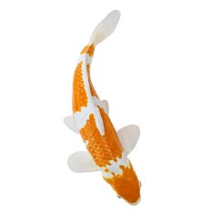 Mojo Karp koi ochiba shigure