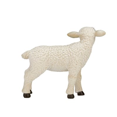 Mojo Hampshire Lamm stehend