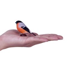 Mojo Hýľ obyčajný v krabičke