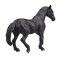 Mojo Andalusian Black Horse