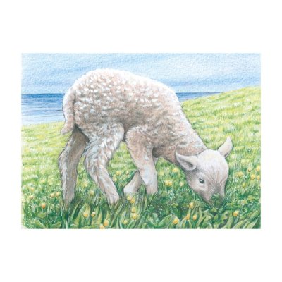 Goki Lesene kocke Živali na kmetiji 9 kosov