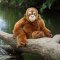 Rappa Plišasta opica orangutan 27 cm ECO-FRIENDLY