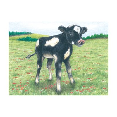 Goki Houten blokken Boerderijdieren 9 stuks