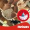 HUGGIES® Windeln Einweg Little Movers 3 (4-9 kg) 78 Stk