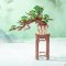 RoboTime 3D Holzpuzzle Bonsai Kiefer