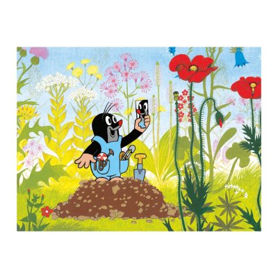 Mole in trousers 24 pieces
