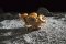 Ugears 3D puzzle mecánico de madera NASA, Vehículo Lunar