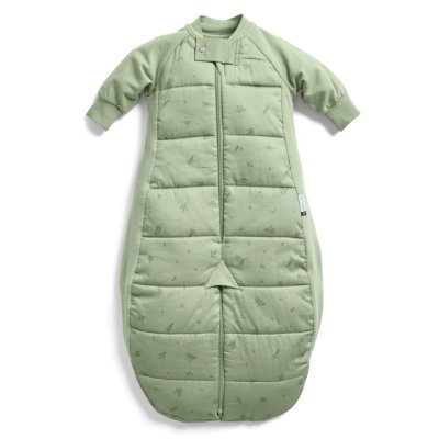 ERGOPOUCH Schlafsack und Schlafanzug 2-in-1 Bio-Baumwollanzug Willow 3-12 m, 6-12 kg, 2,5 tog
