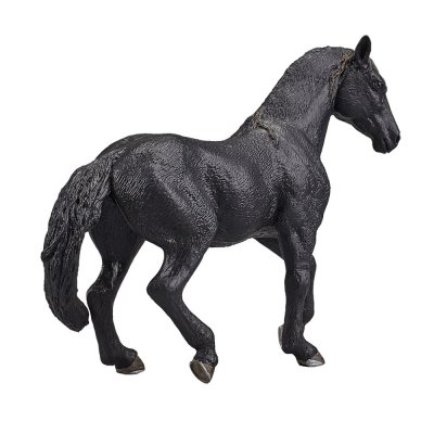 Mojo Andalusian Black Horse
