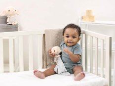 Rainbow Harry Potter Peluche Doudou Dobby