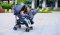 LIONELO Buggy Elia Green Forest