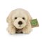 Rappa Plyschhund labrador 20 cm ECO-FRIENDLY