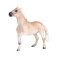 Mojo Brumby Mare