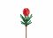 Sluban Flowers M38-B1101-08 Tibouchina Urvilleana i en vas