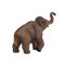 Mojo Mammut Junges