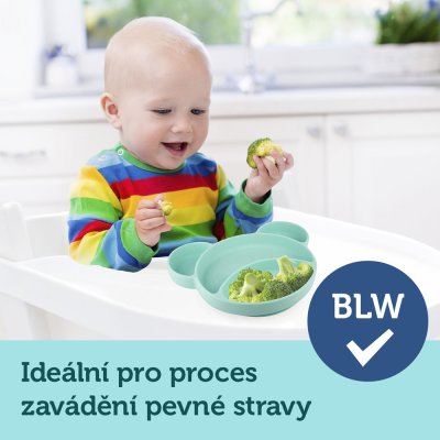 CANPOL BABIES Delad silikonplatta med sugkopp Teddybjörn turkos