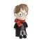 Tęczowy Pluszowy Harry Potter